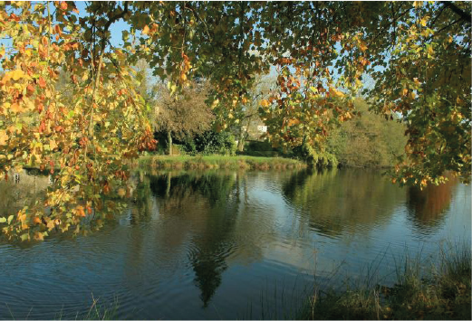 Fortes chaleurs : baignade interdite dans l’étang et le Condat